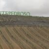 Añadir a Rueda 2 Ávila y Bodega de Rueda desde Madrid