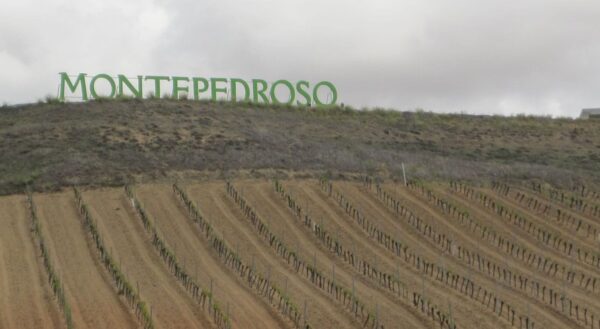 Añadir a Rueda 2 Ávila y Bodega de Rueda desde Madrid