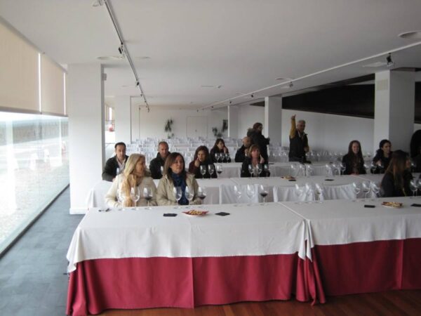 Wine Tour Aventura con castillos, ciudades medievales o catedrales last minute