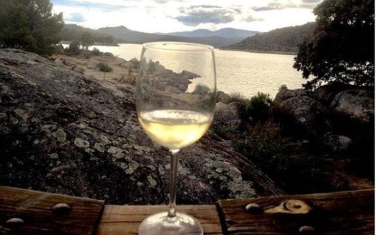 White-wines-848x530