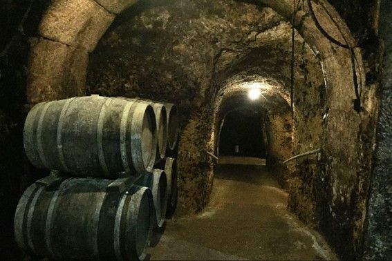 Bodegas subterráneas de Rueda