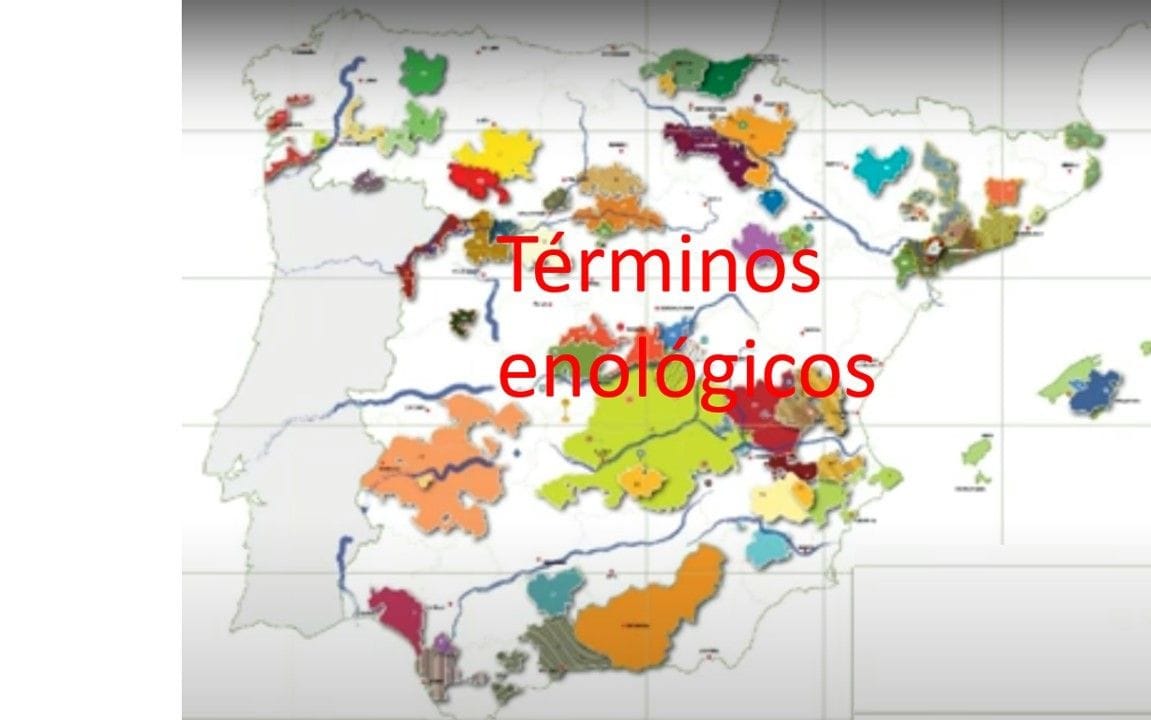 Términos enológicos mapa