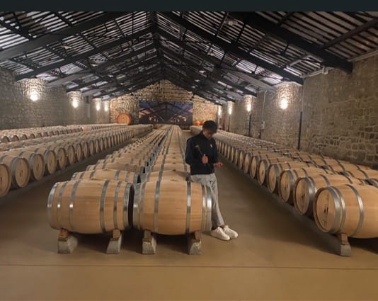 Tour a Rioja desde Madrid Tour a Rioja desde Madrid